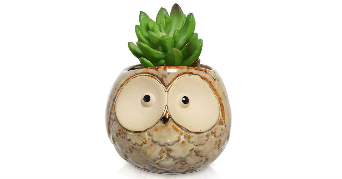 UFIG Owl Succulent Planter Pot ONLY $5.48 (Reg. $16)