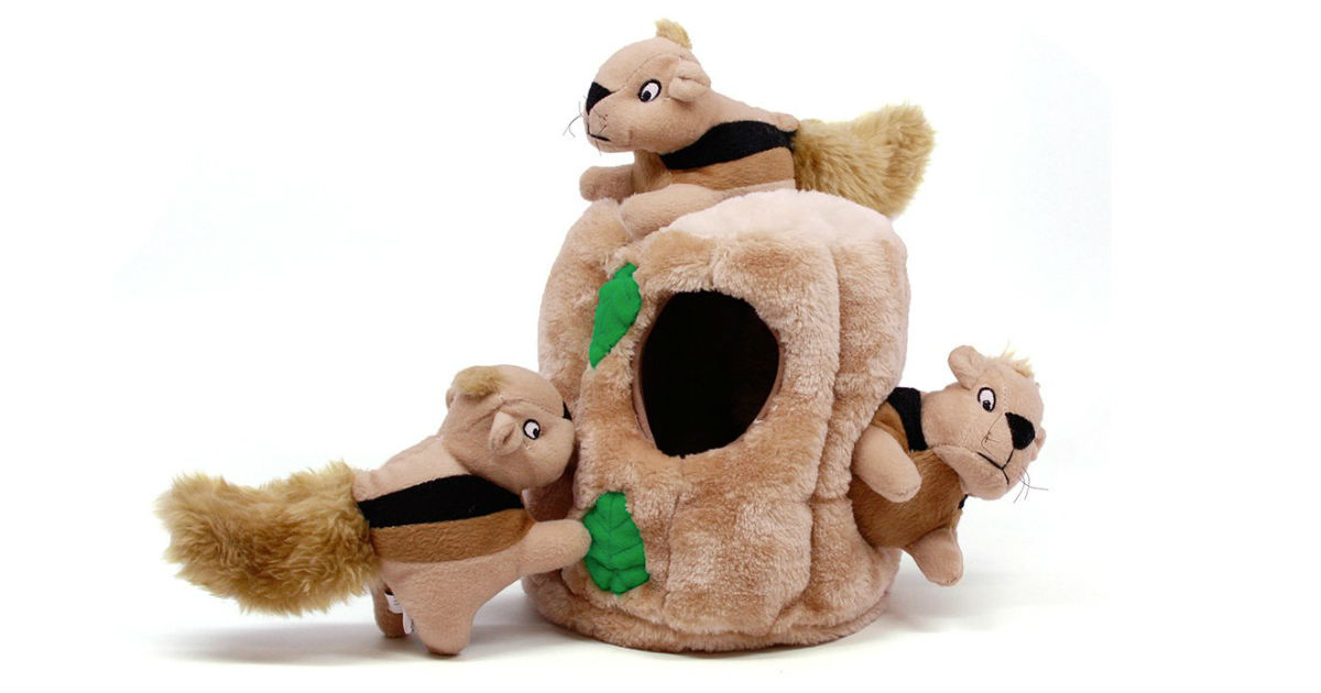 Outward Squirrel Dog Toy ONLY $6.39 (Reg. $13)