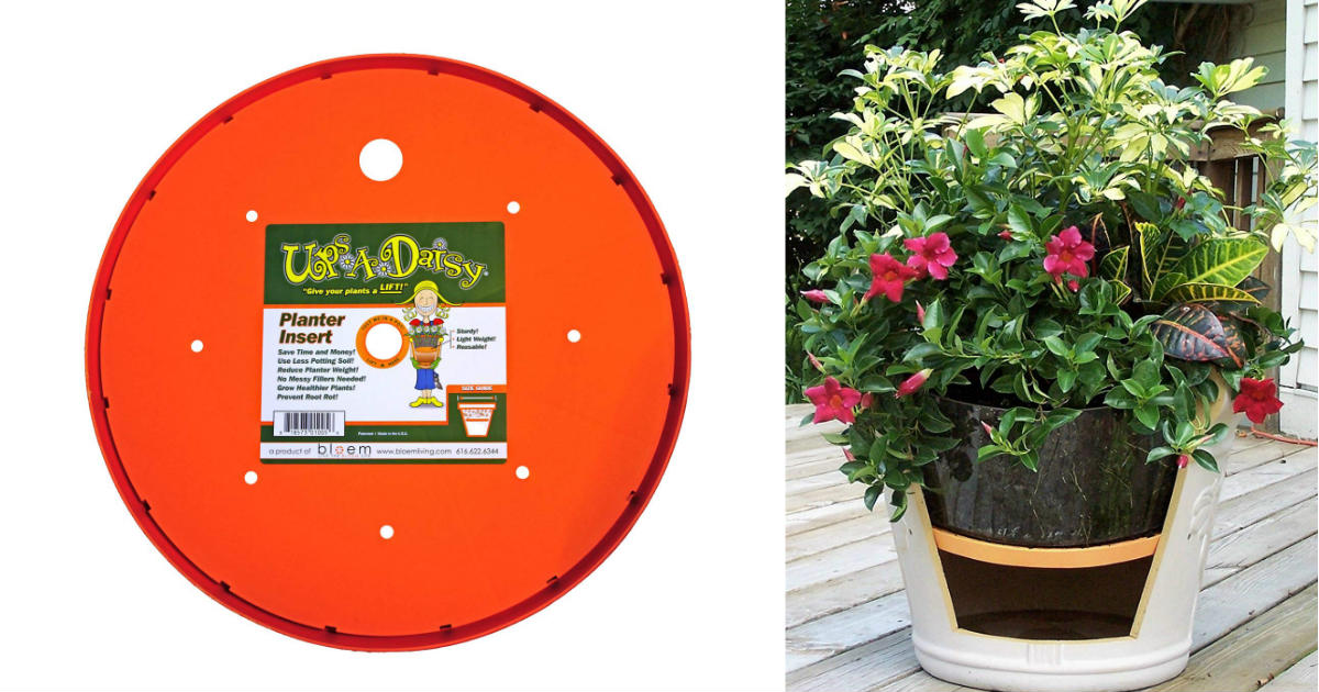 Bloem Ups-A-Daisy Round Planter Insert ONLY $7.98 (Reg. $17)