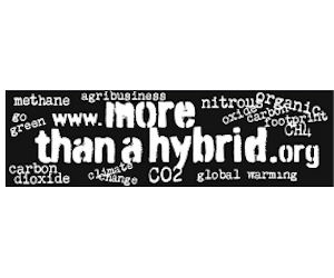 More Than a Hybrid