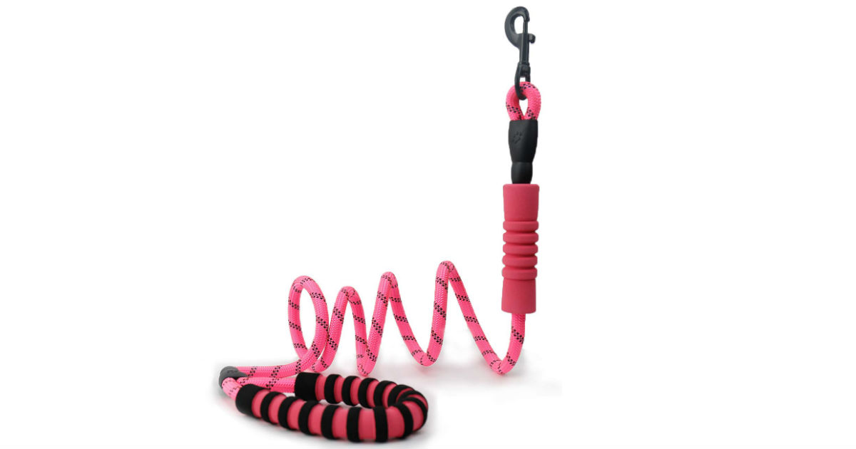 Ankeway Dog Leash ONLY $8.49 (Reg. $22)