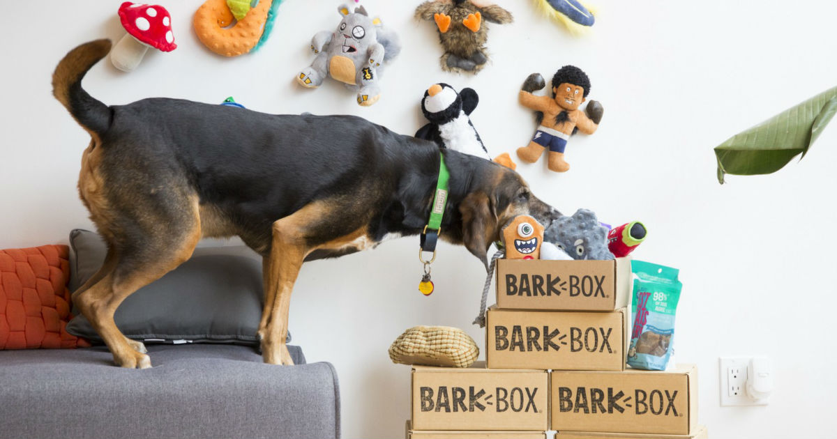 BarkBox ONLY $5.00 + FREE Extra Toy