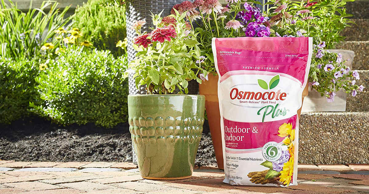 Osmocote Plant Fertilizer ONLY $13.43 (Reg. $25)
