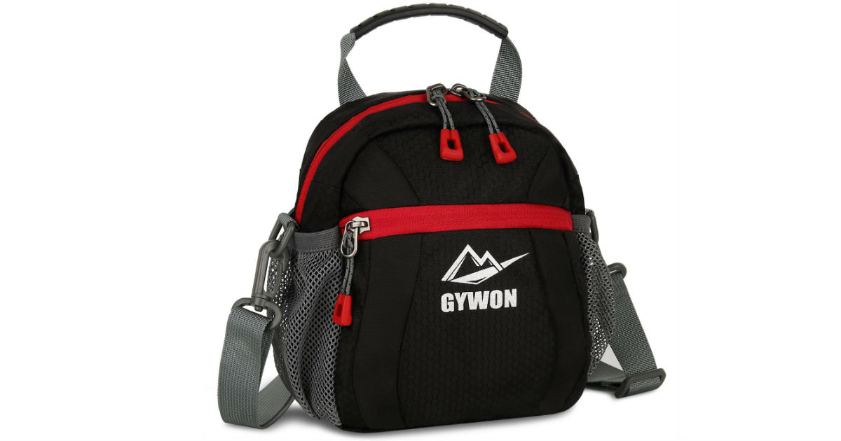 Gywon Messenger Shoulder Bag ONLY $5.24 (Reg. $15)