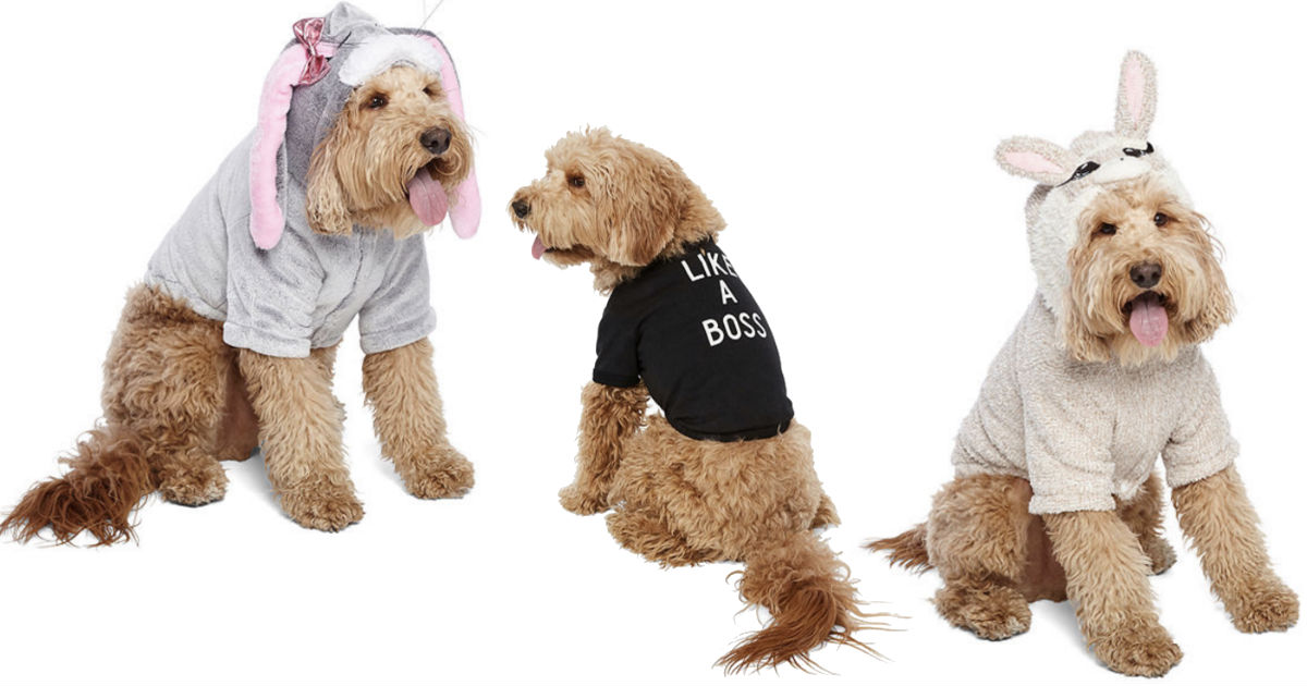 Pet Costume ONLY $4.34 at JCPenney