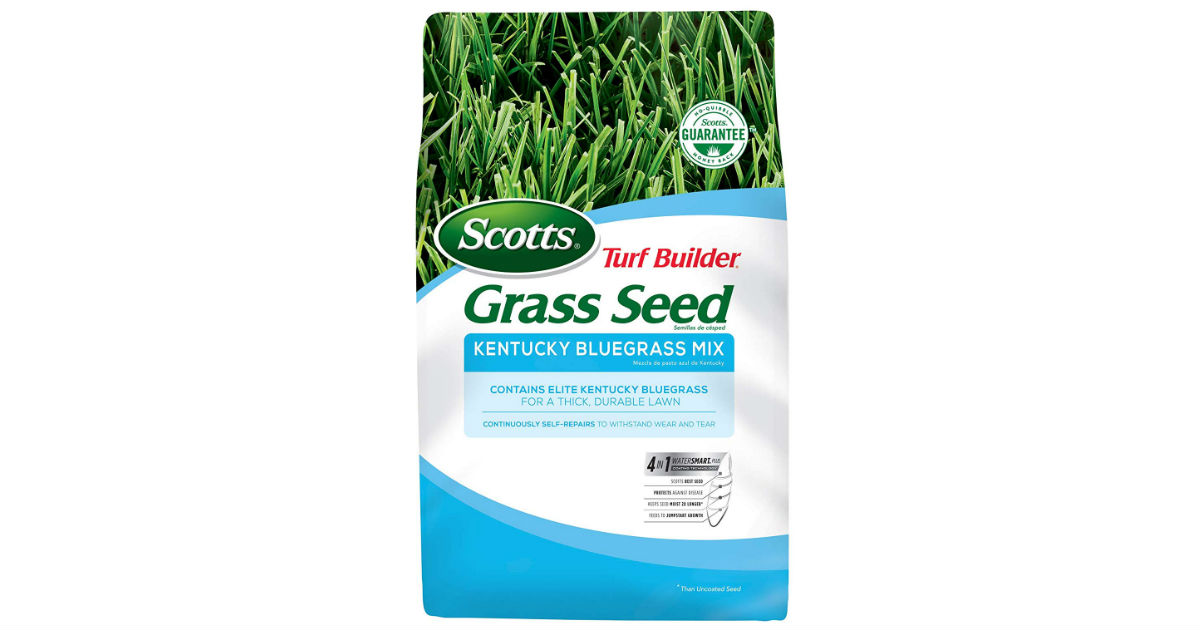 Scotts Turf Builder Grass Seed ONLY $23.07 (Reg. $48)