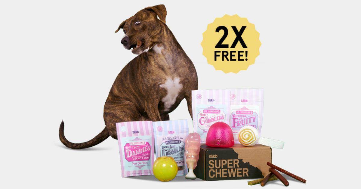 This Week Only: Double First Super Chewer Box + Free Shipping