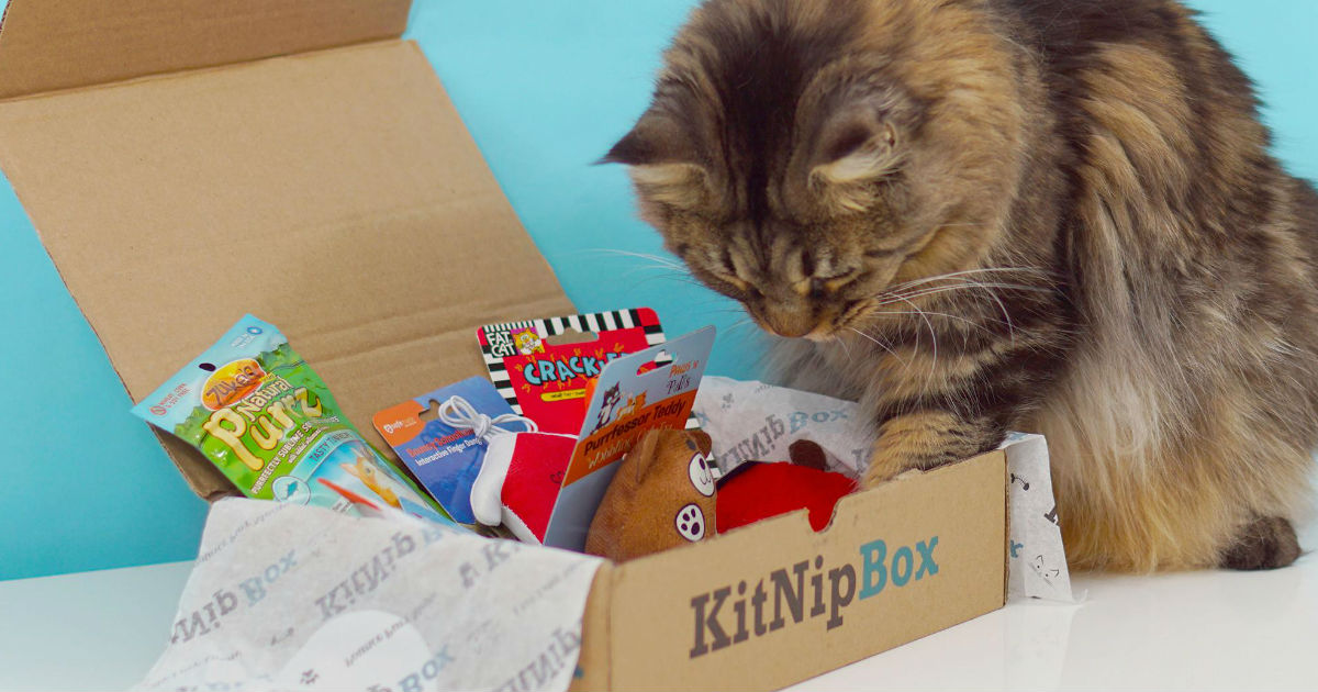 KitNipBox ONLY $9.99 Shipped on Amazon (Reg. $20)