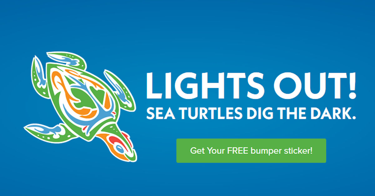 FREE Lights Out! Sea Turtles D...