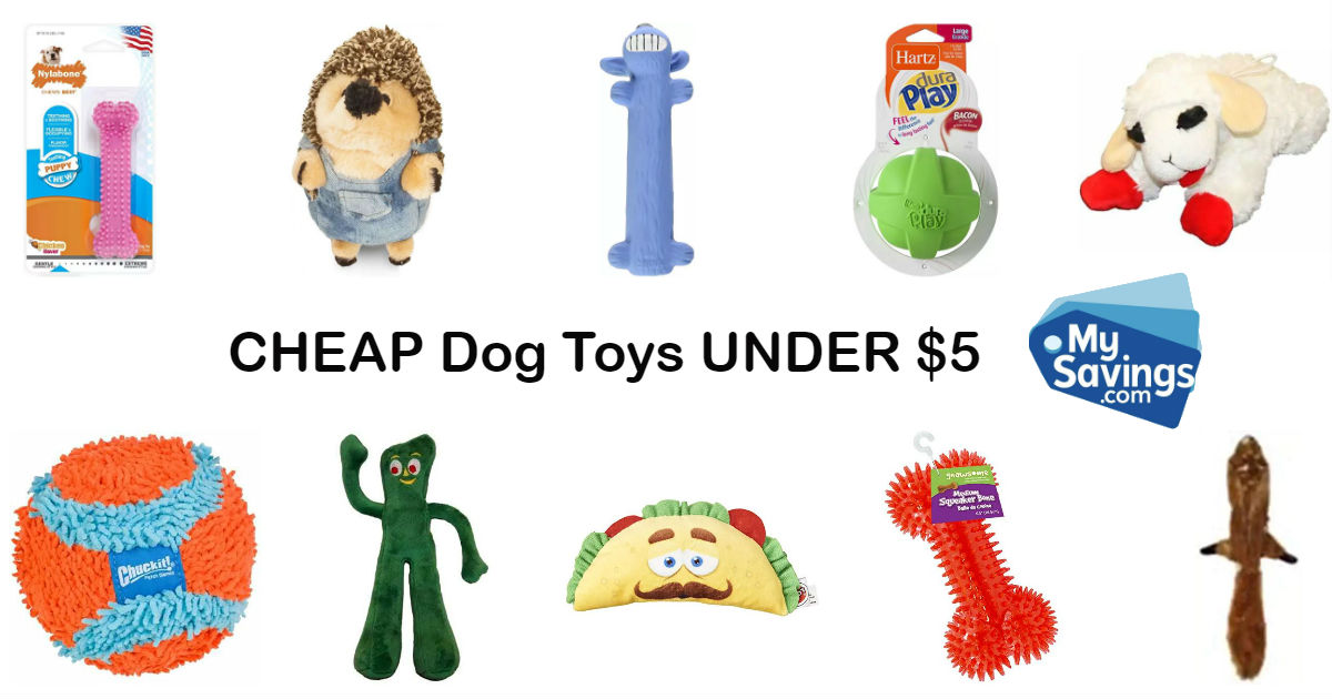 Cheap Dog Toys on Amazon