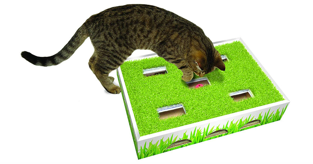 Grass Patch Cat Play Box on Amazon