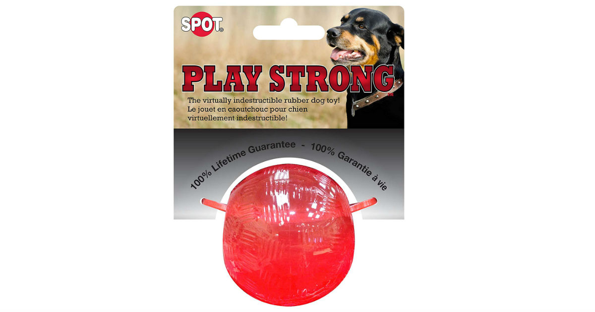 SPOT Play Strong Bone Shaped Chew Dog Toy ONLY $1.12 (Reg $4.34)