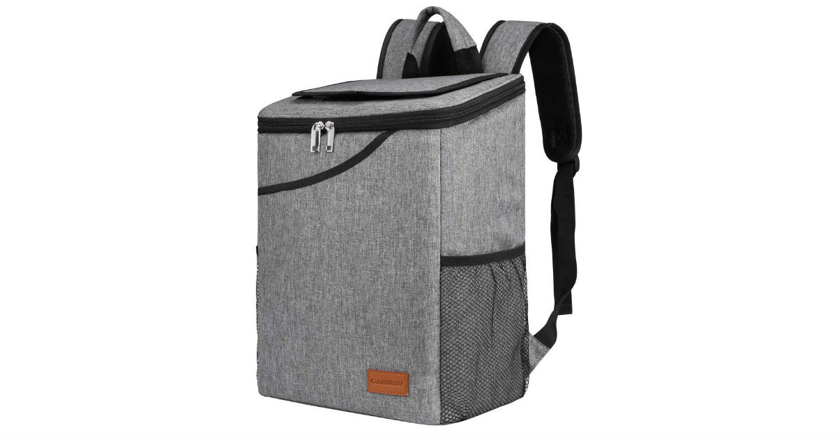 Cooler Insulated 40-Can Bag ONLY $14.99 (Reg. $43)