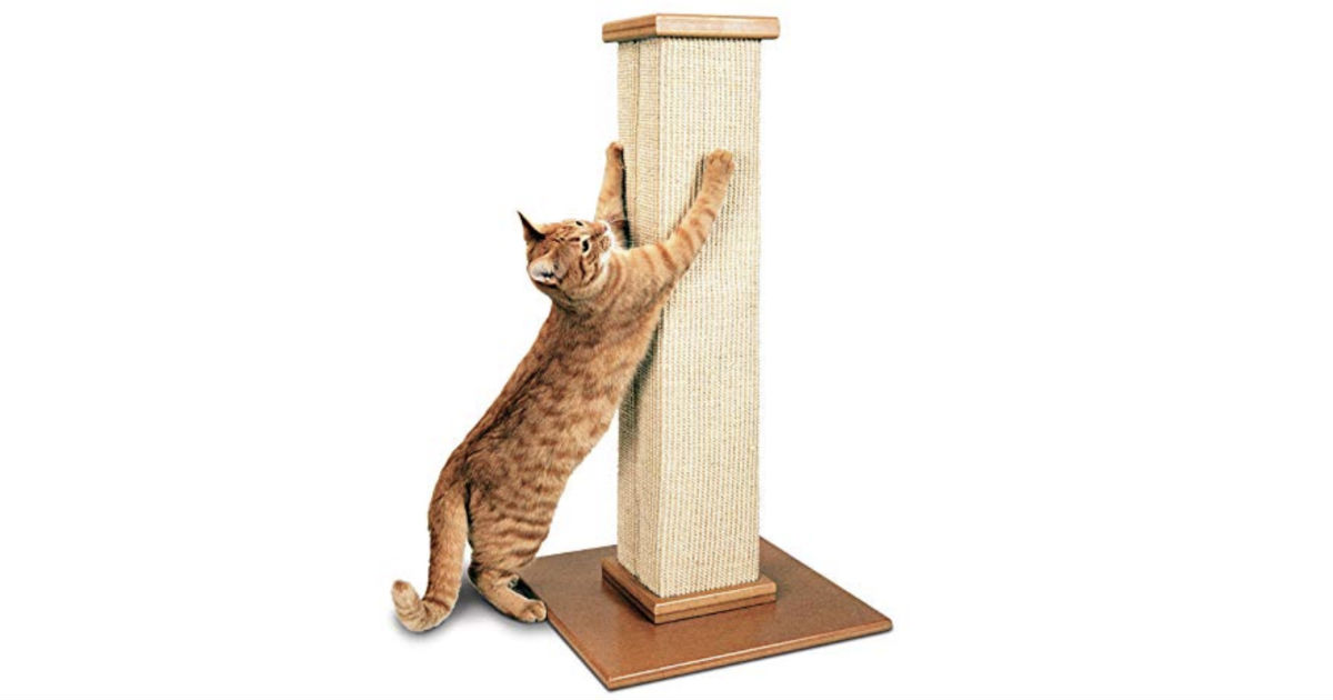 SmartCat Pioneer Pet Ultimate Scratching Post ONLY $34.99 Shipped