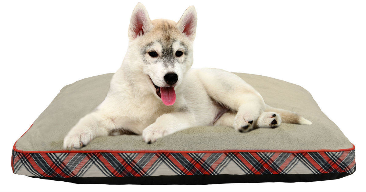 Holiday Time Gusseted Pet Bed ONLY $9.91at Walmart (Reg $20)