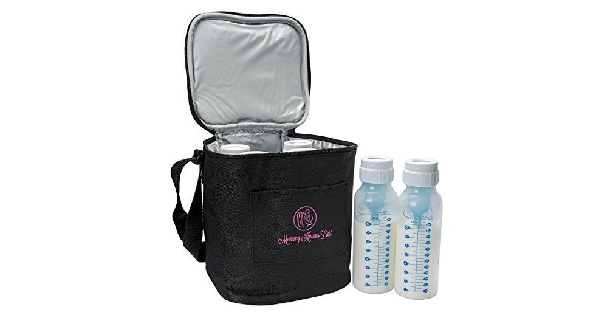 Insulated Cooler Bag ONLY $7.99 (Reg. $20)