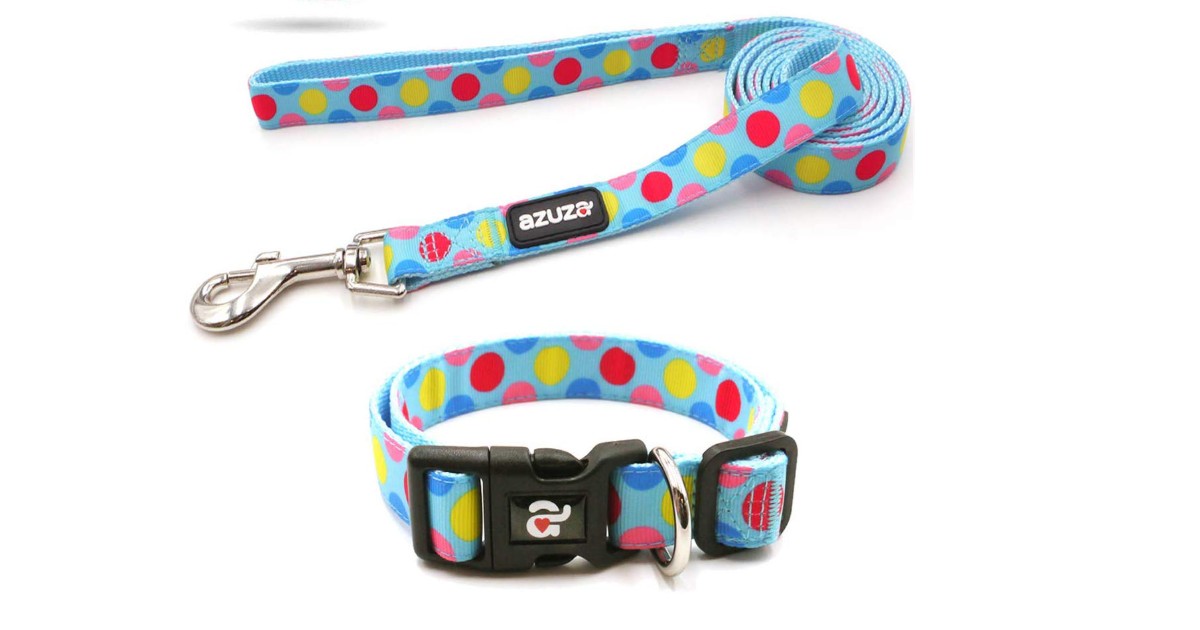Azuza Dog Collar and Leash Set ONLY $7.65 (Reg. $15)