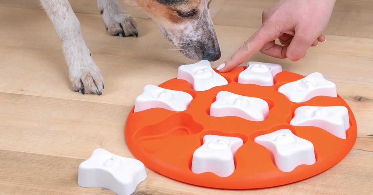Outward Hound Puzzle Toy for Dogs 