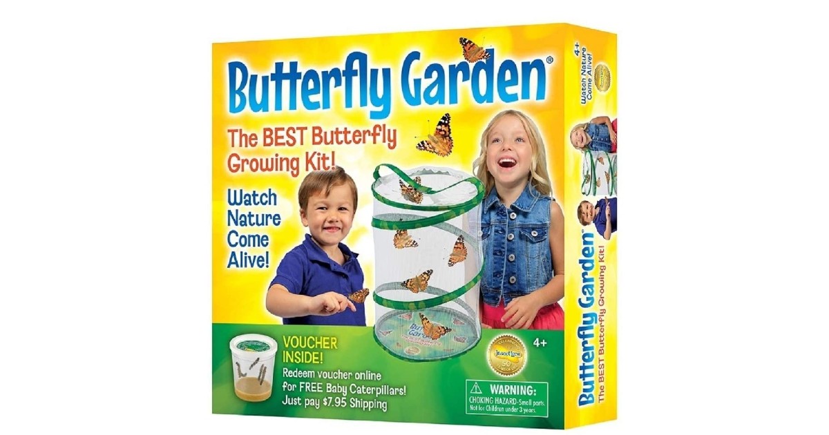 Insect Lore Butterfly Growing Kit on Amazon Daily Deals & Coupons