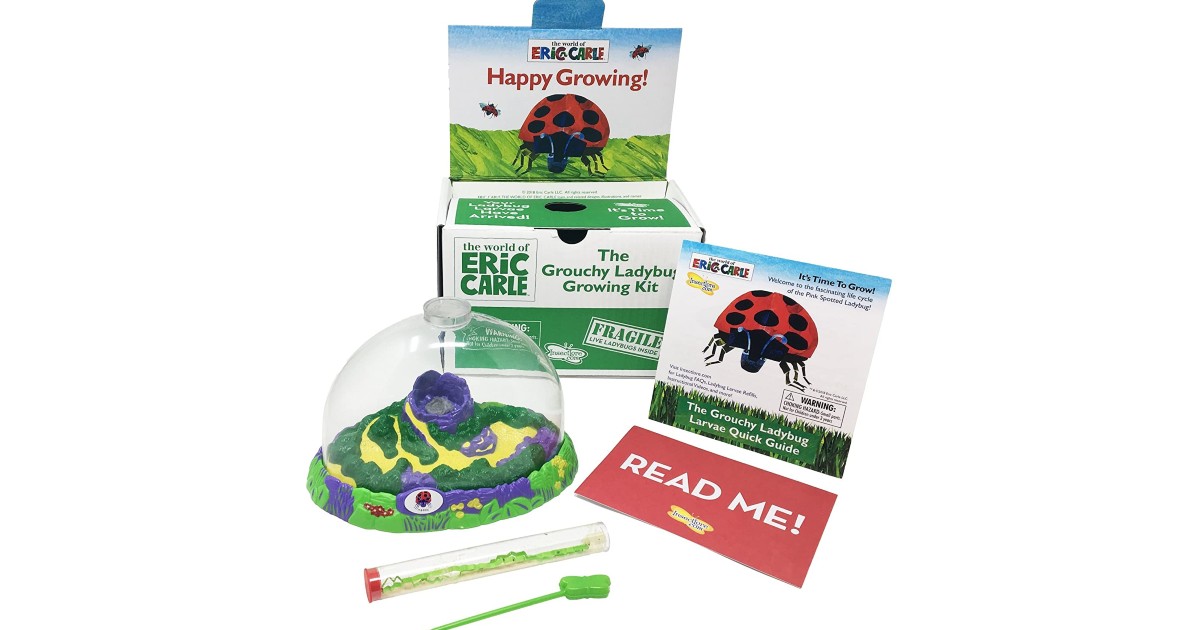 Grouchy Ladybug Growing Kit on Amazon