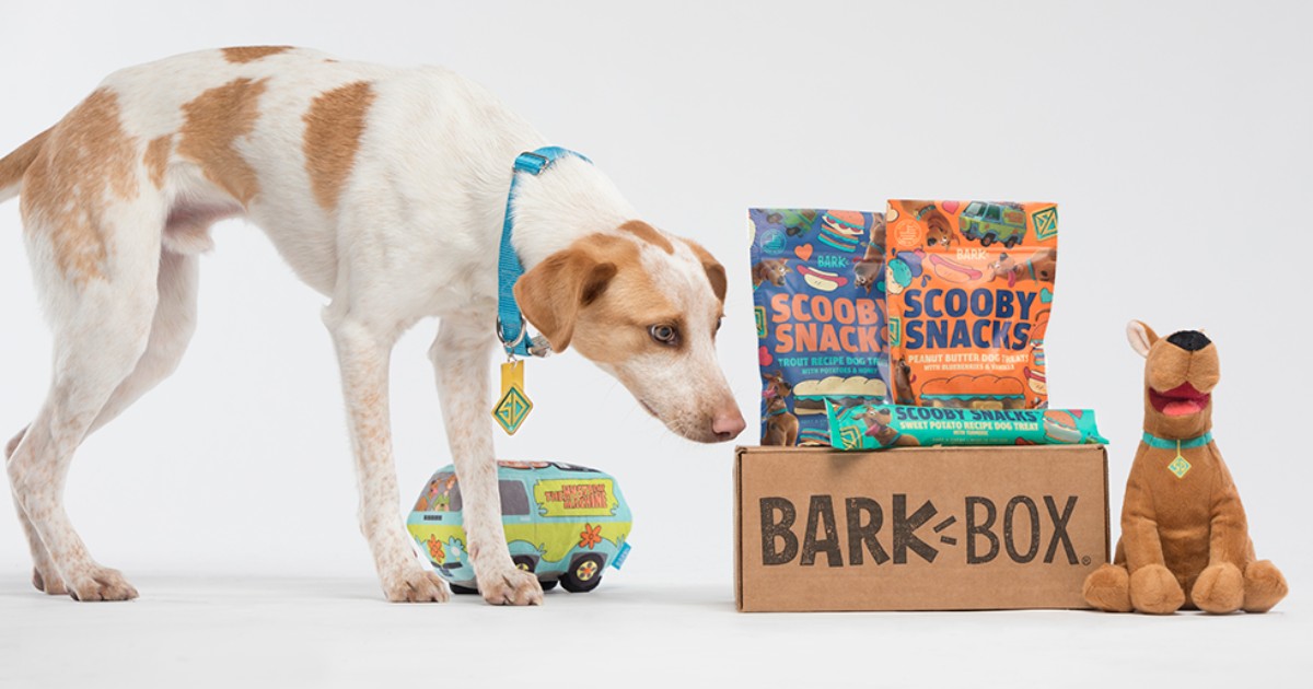 FREE Extra Toy for Life with Scoob! Themed BarkBox