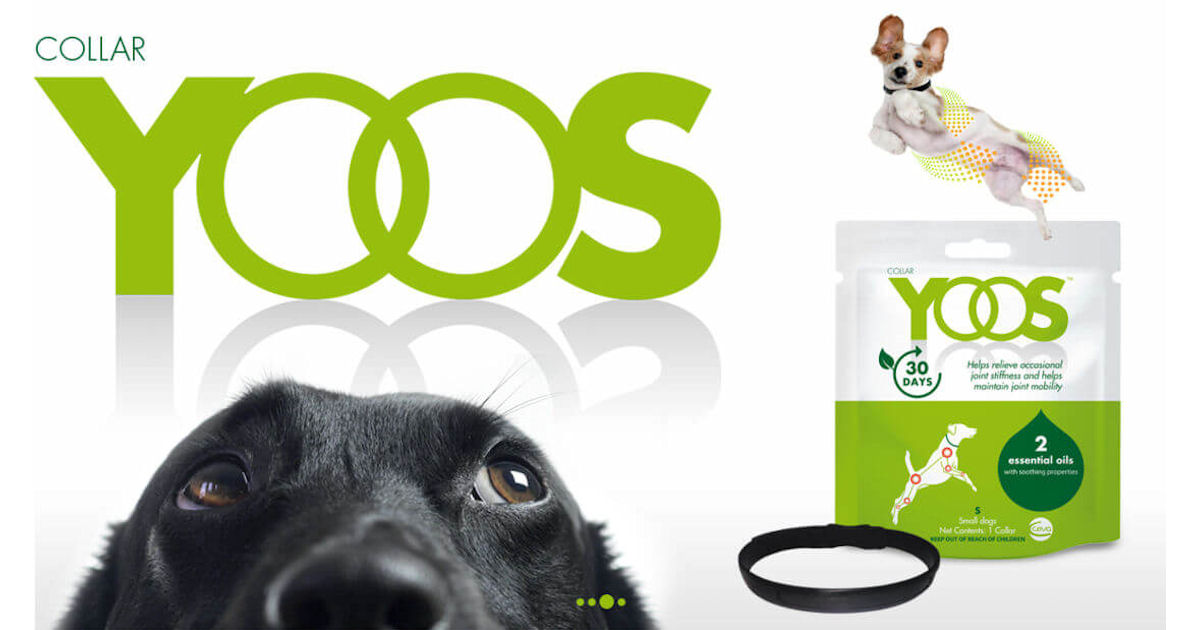 FREE YOOS Essential Oil Dog Co...