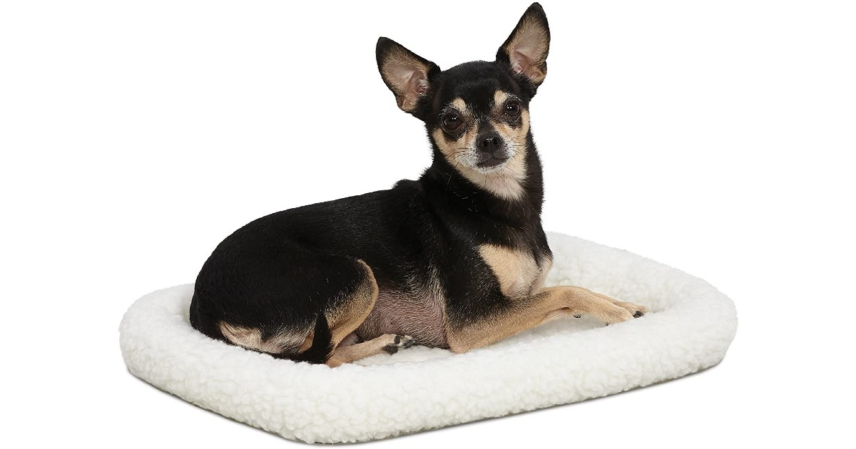 MidWest Bolster Pet Bed ONLY $7.56 (Reg $16)