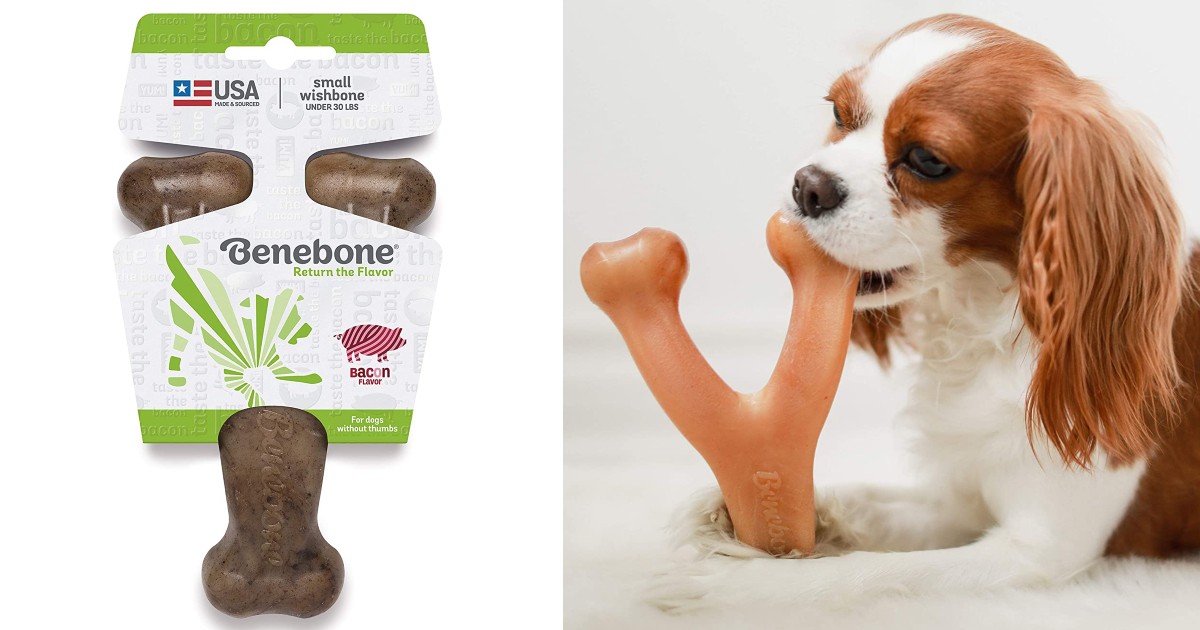 Benebone Real Bacon Dog Chew Toy for ONLY $5 (Reg $10)