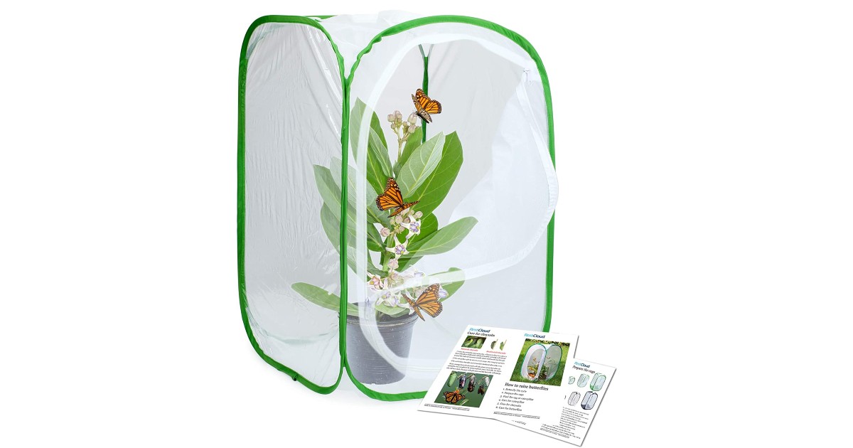 nsect and Butterfly Habitat Cage ONLY $13.99 (Reg. $25)