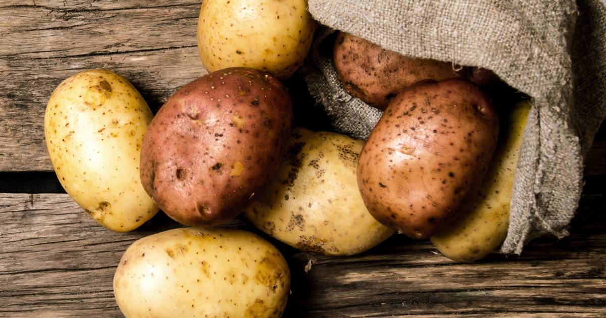 Michigan Potatoes