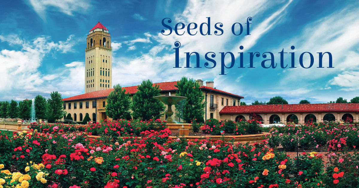 Free Samples and Freebies Unity