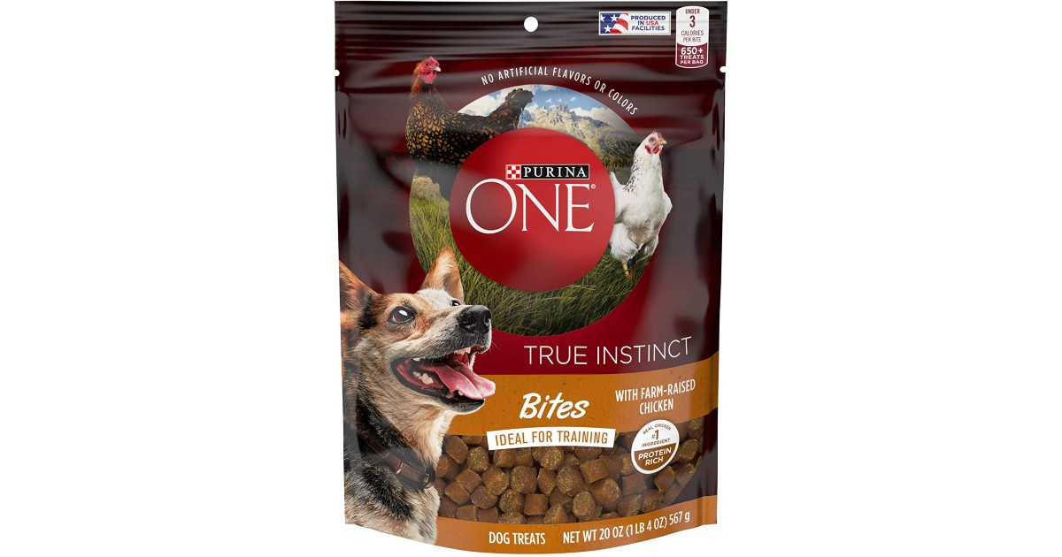 Purina ONE SmartBlend Adult Dry Dog ONLY $4.82 Shipped