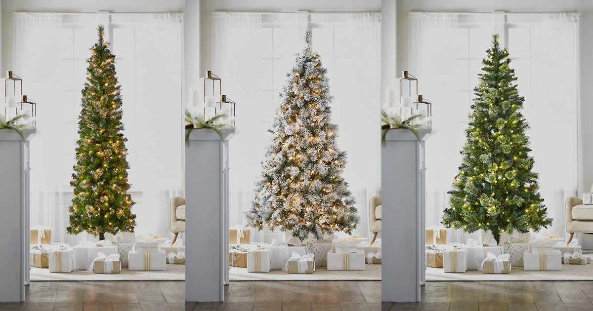 Save 70% on Christmas Trees at Belk