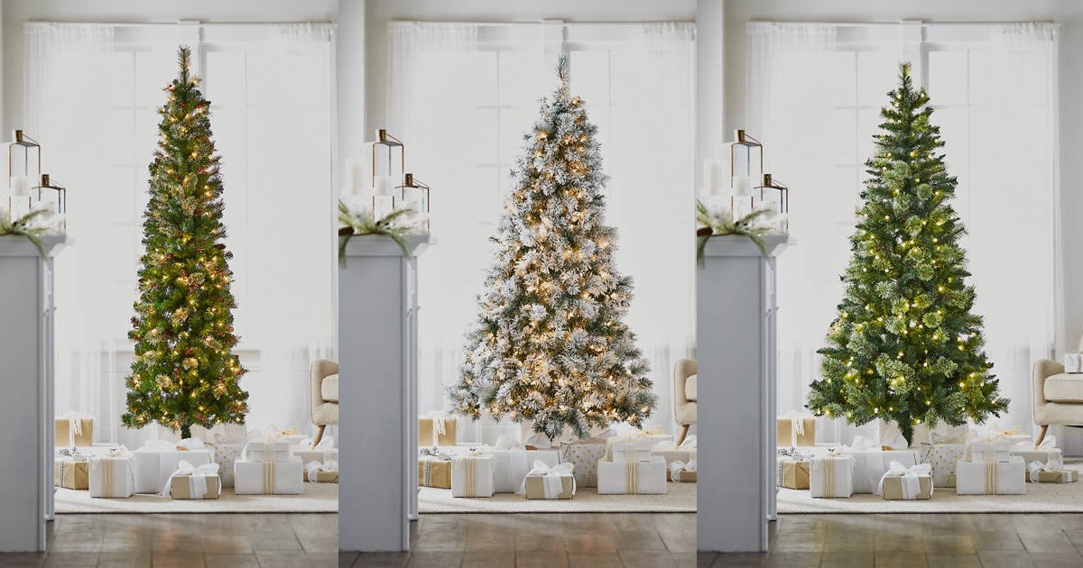 Save 70 on Christmas Trees at Belk Daily Deals & Coupons