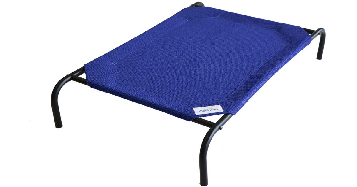 The Original Elevated Pet Bed ONLY $18.89 (Reg. $43)