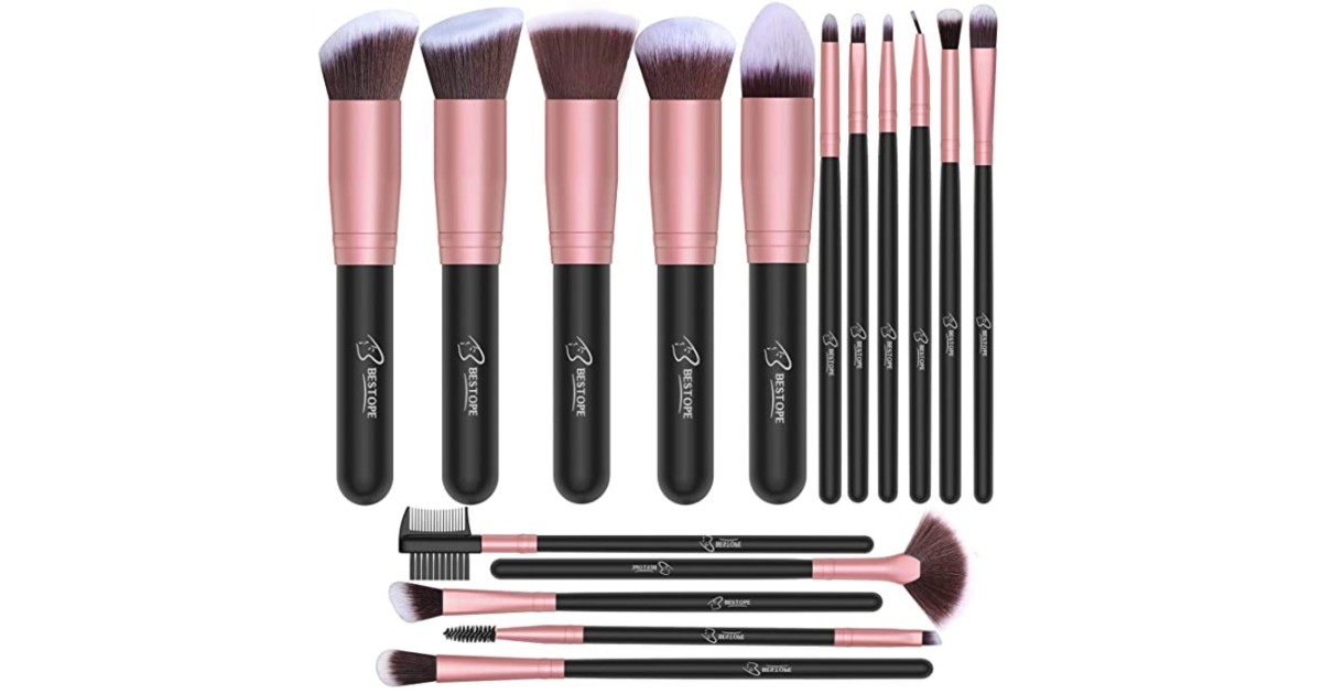 Makeup Brushes 16-Piece ONLY $11.99 at Amazon