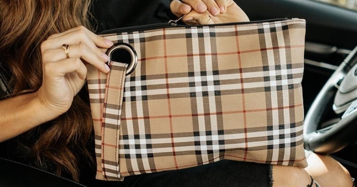 Alexa Clutch ONLY $13.99 Shipped at Jane (Reg $29)