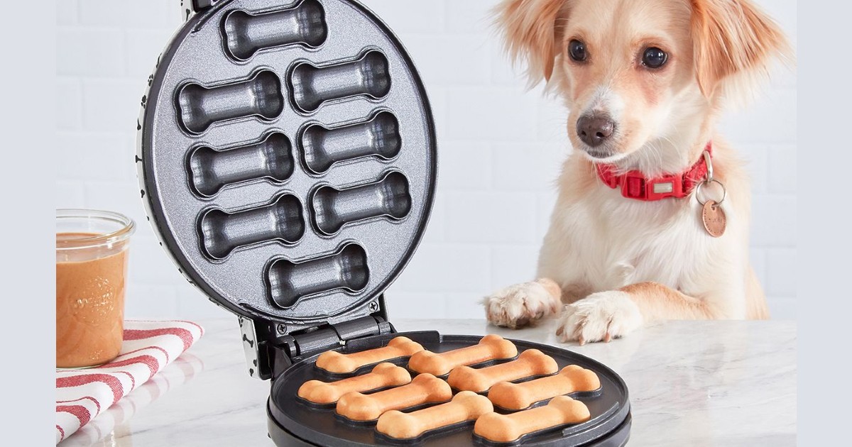 Dash Dog Treat Maker