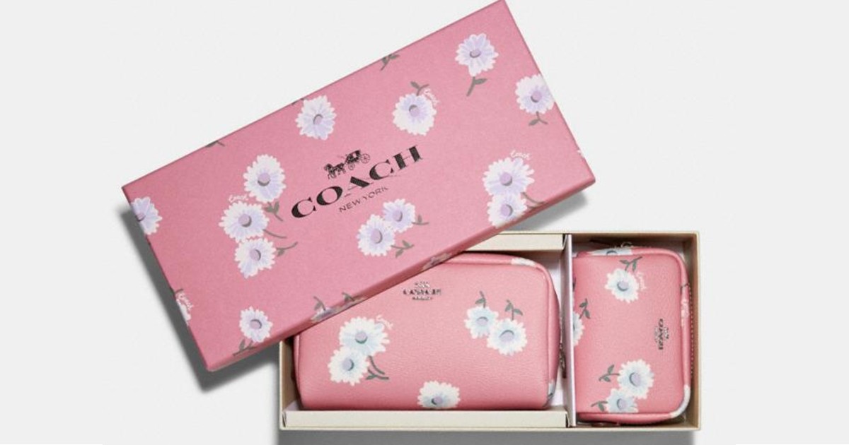 Small And Mini Boxy Cosmetic Case Set