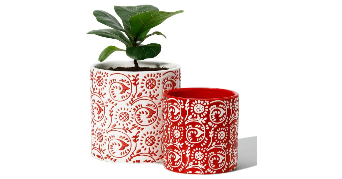 POTEY Planters and Pots on Amazon