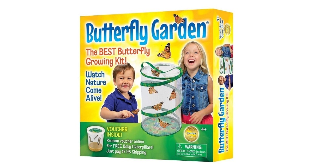 Insect Lore Butterfly Growing Kit ONLY $18.59 on Amazon