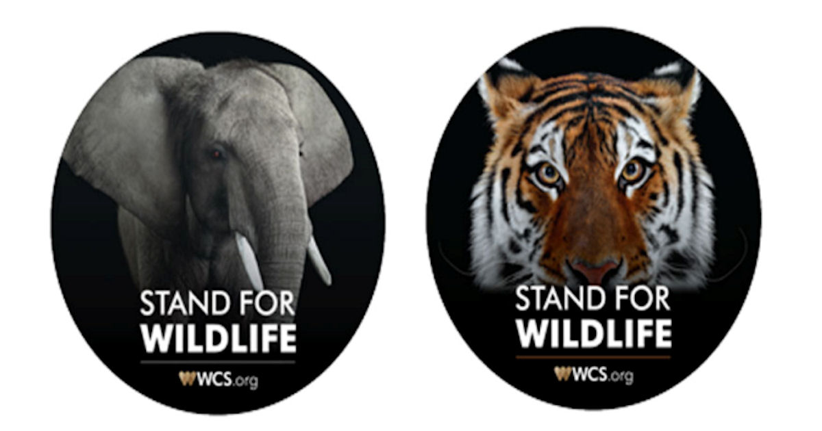 FREE Elephant or Tiger Sticker