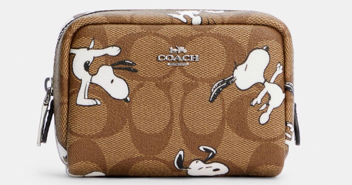 Coach X Peanuts Mini Boxy Cosmetic Case ONLY $49 (Reg. $98) - Daily ...