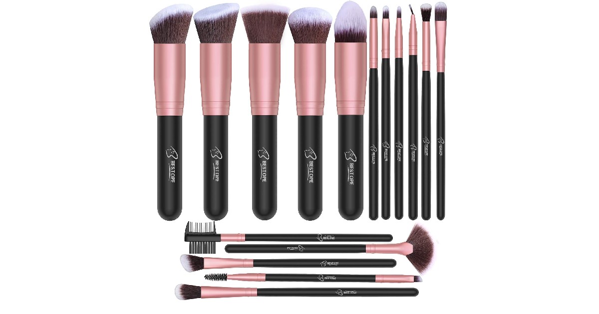 Makeup Brush Set 16-Piece ONLY $7.64 (Reg. $16)