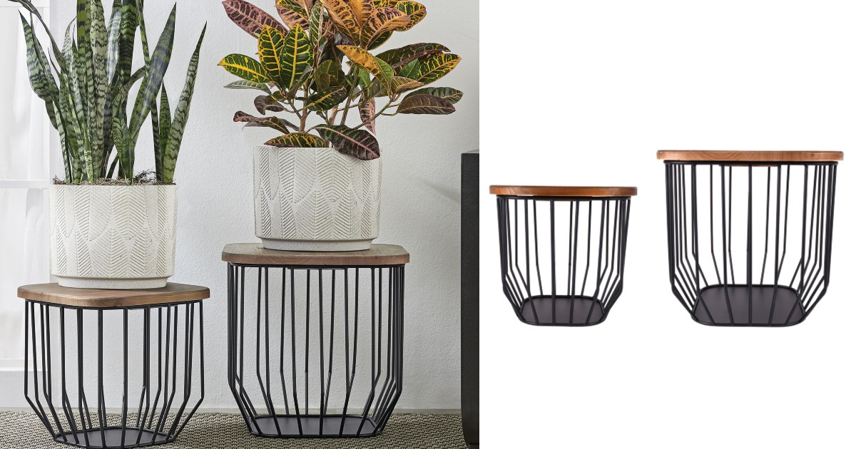 Plant Stands Set of 2