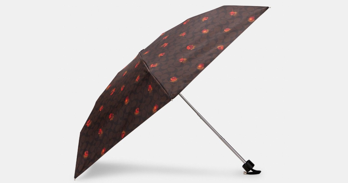 Coach Mini Umbrella In Signature Pop Floral Print $29 (Reg. $78)