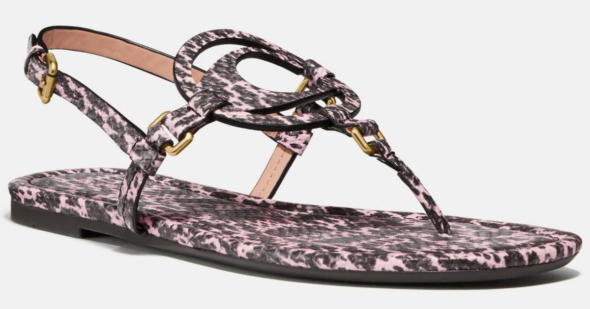 Coach Jeri Sandals ONLY $24 + Free Shipping (Reg. $100)