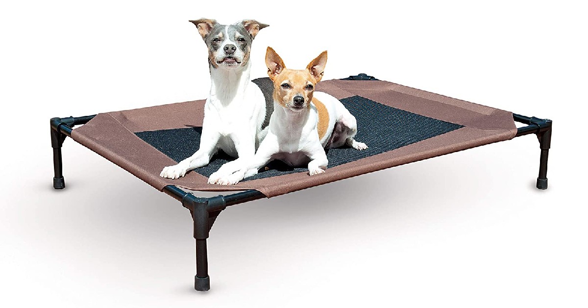 K&H Elevated Dog Bed ONLY $23.72 (Reg. $57)