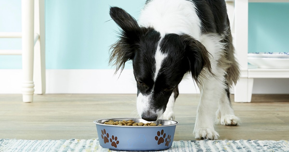 Loving Pets Metallic Bella Dog Bowl 