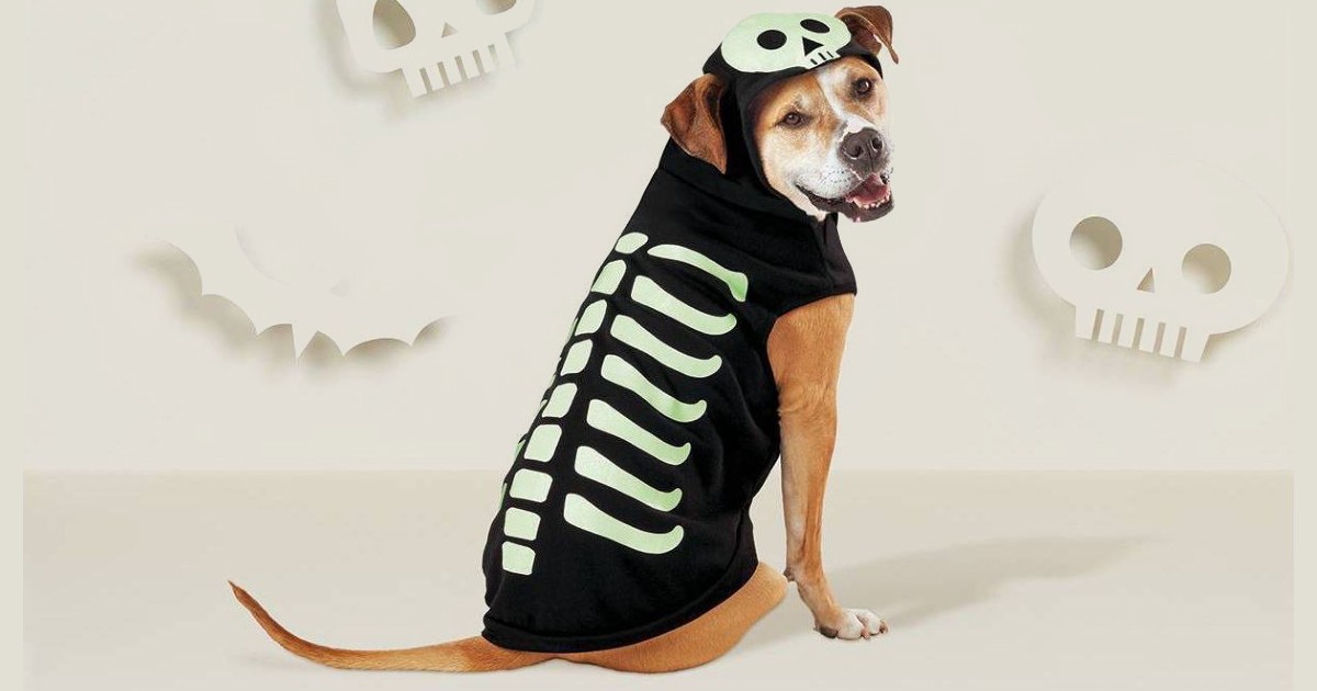 Skeleton Dog and Cat Hoodie 